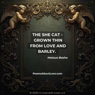 <a href="https://inlovewithlove.com/romantic-things-to-do" target="_blank" class="shop-btn">Shop</a>